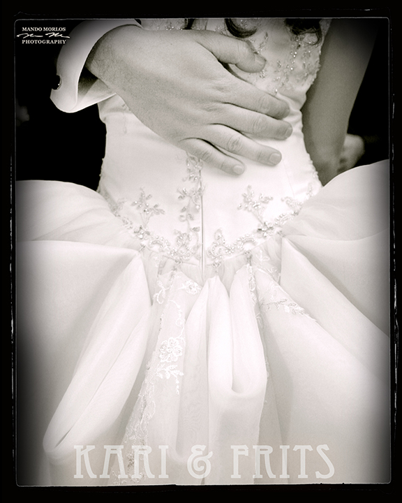 8x10cover photo dress web Santa Cruz Wedding Photographer